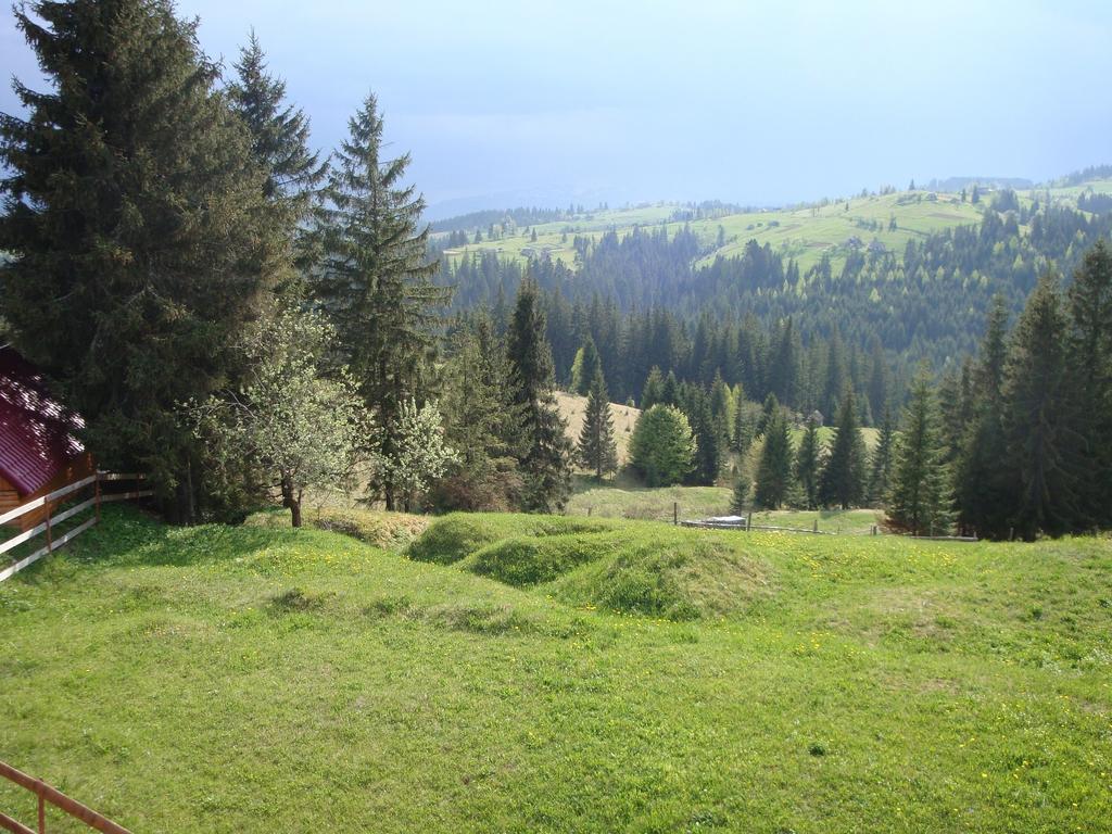 Panorama Karpat Hotel Yablunytsia Buitenkant foto